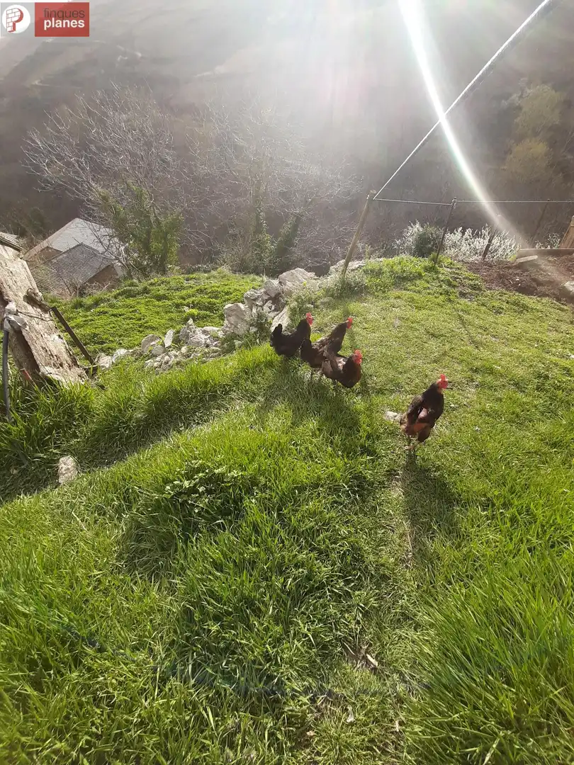 Jardí de Casa o xalet en venda en Les Valls de Valira amb Calefacció i Jardí privat