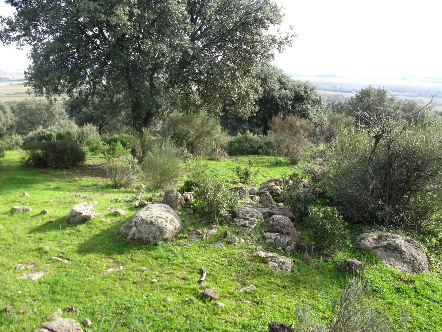 Terreni e lotti in vendita a Jarandilla de la Vera, imagen 11
