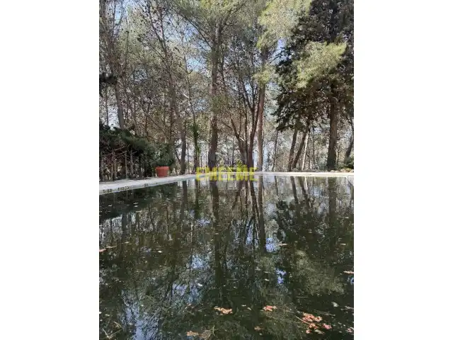 Villa mit Pool zum Verkauf in Partidas Norte, imagen 26