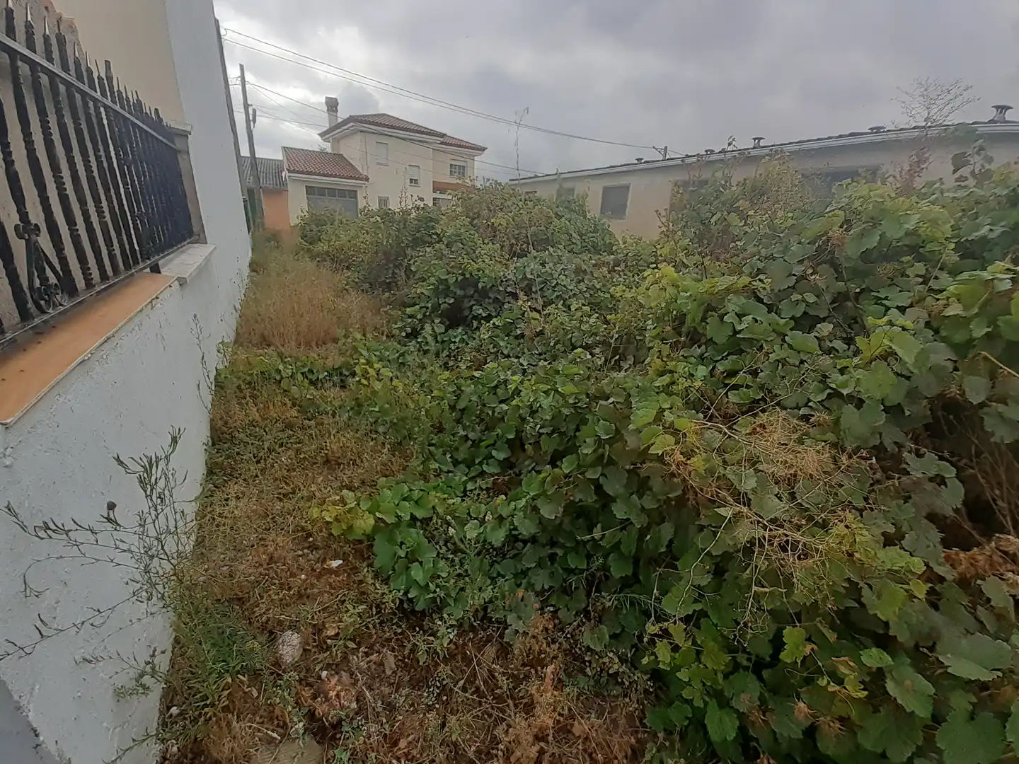 Terreni e lotti in vendita a Roales, imagen 11
