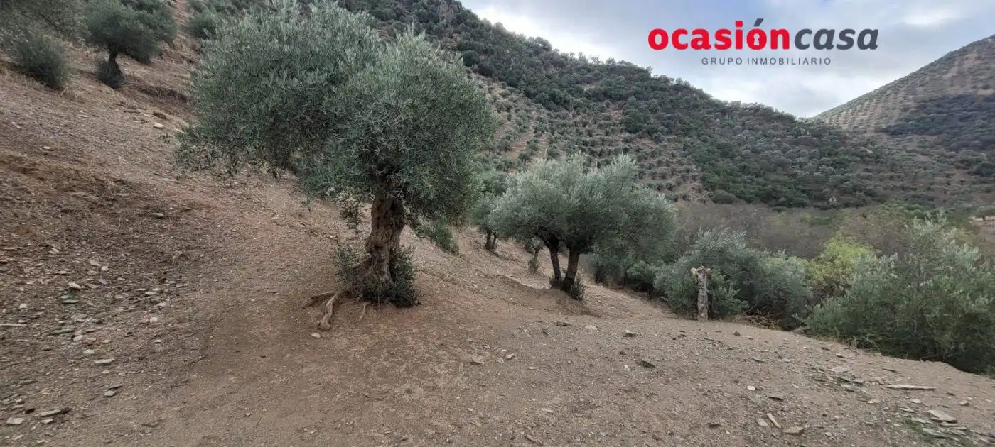 Casa rústica en venda a Pozoblanco, imagen 20