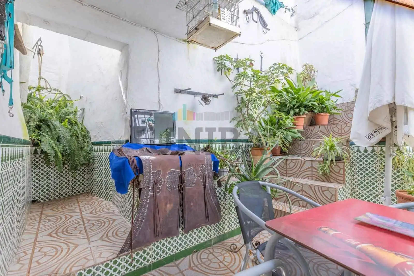 Terraza de Casa o chalet en venta en Segura de León con Trastero