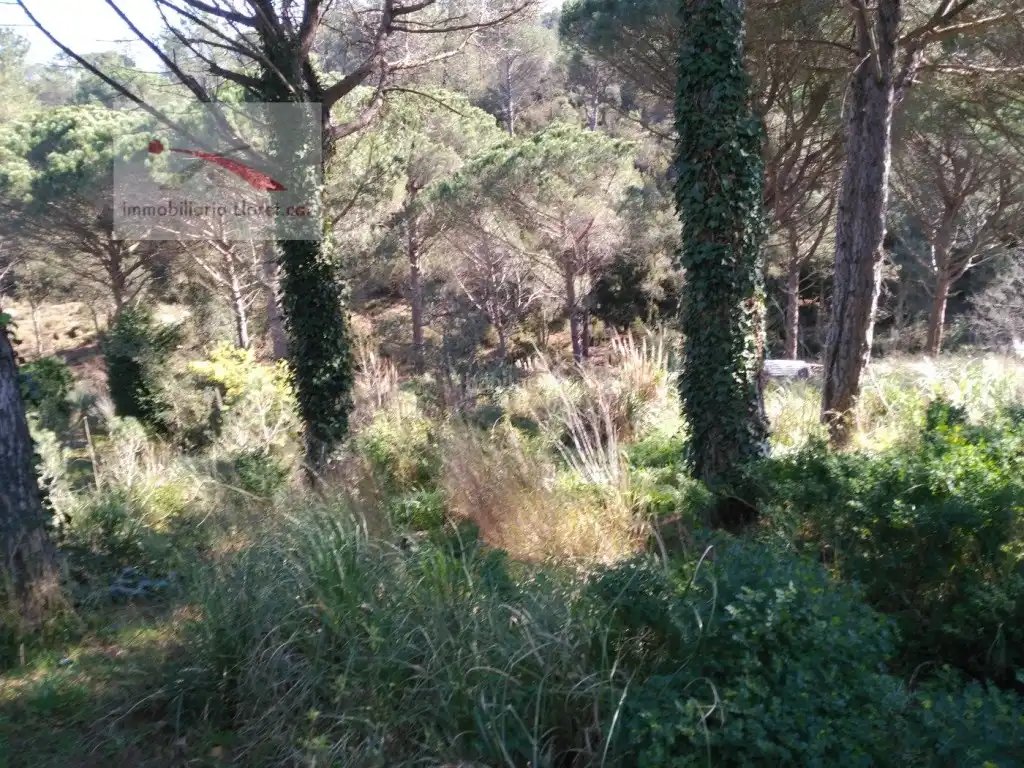 Terreny residencial en venda a Golf Costa Brava, imagen 2