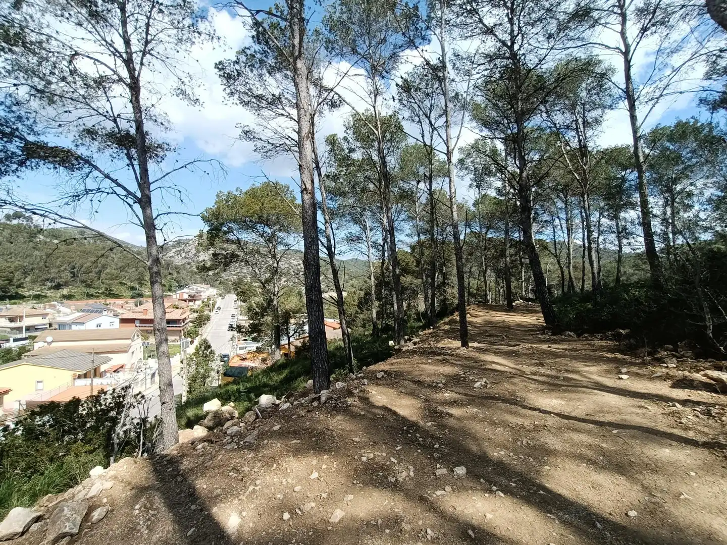 Terreno residencial en venta en Carrer PRINCIPAL 29, imagen 5