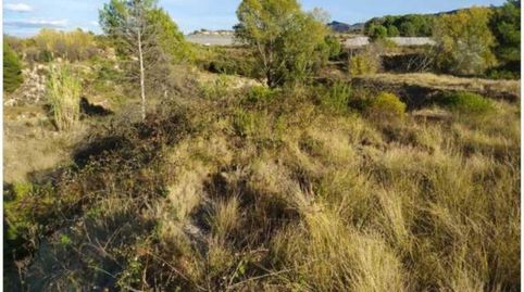 Foto 3 de Terreno en venta en Carrer Marenys, 31, Grau de Gandia - Venecia - Marenys de Rafalcaid, Gandia