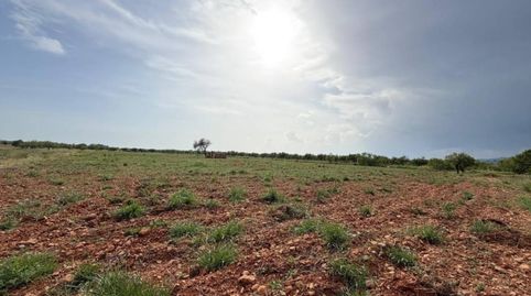 V15075 FINCA RUSTICA CON ANTIGUA EDIFICACIÓN, immagine 5