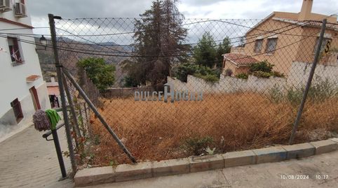 GRAN TERRENO  URBANO EN OLIAS PUEBLO., imatge 2