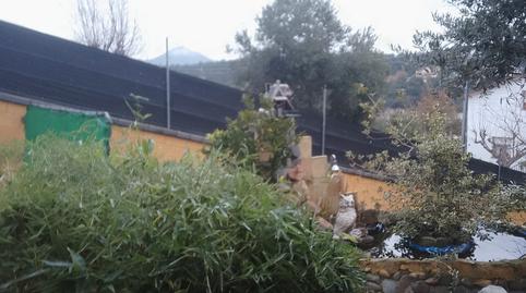 Foto 4 de Casa o xalet en venda a Carrer de Miguel Àngel, 233, Riells i Viabrea, Girona