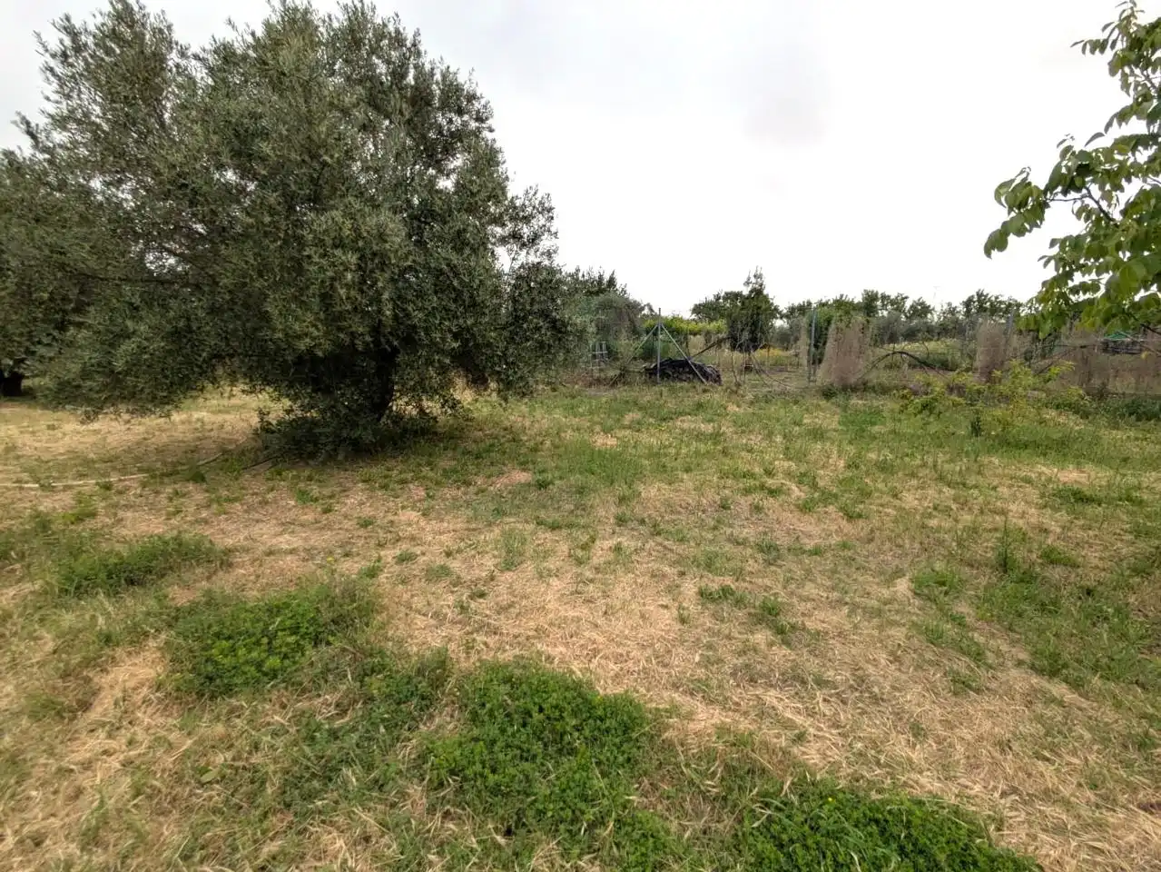 Finca rústica en venda en Don Álvaro amb Jardí privat i Piscina