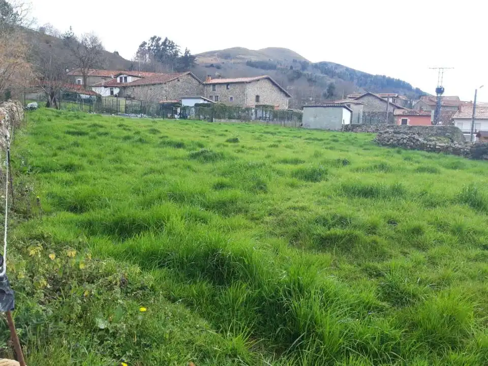 Residential land for sale in Ruente, imagen 4