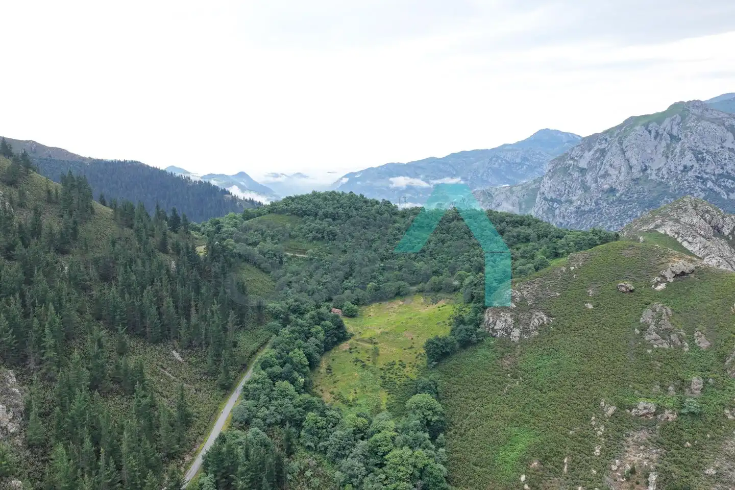 Land for sale in Proaza