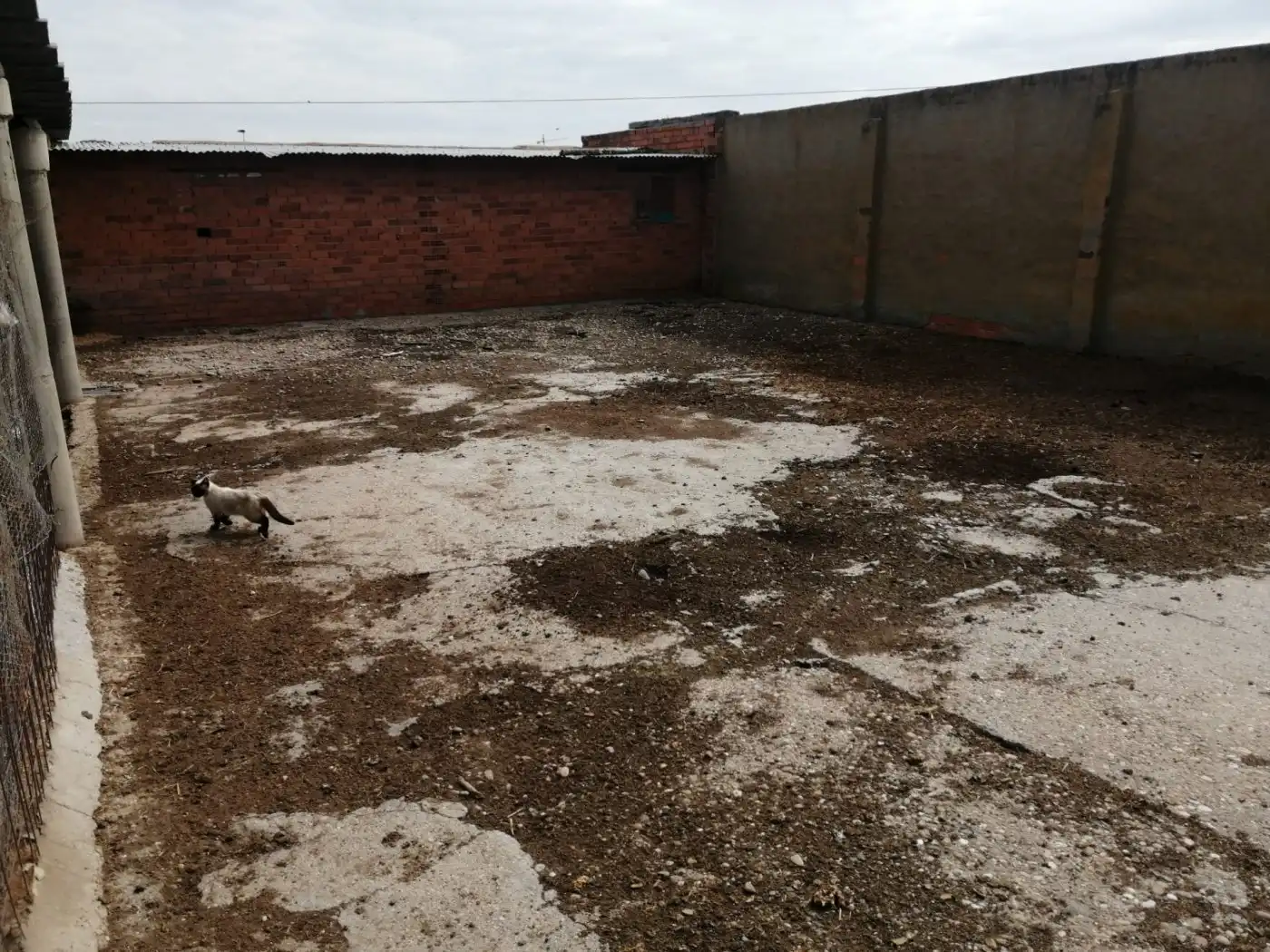 Terreni e lotti in vendita a San Isidro - Espíritu Santo, imagen 4
