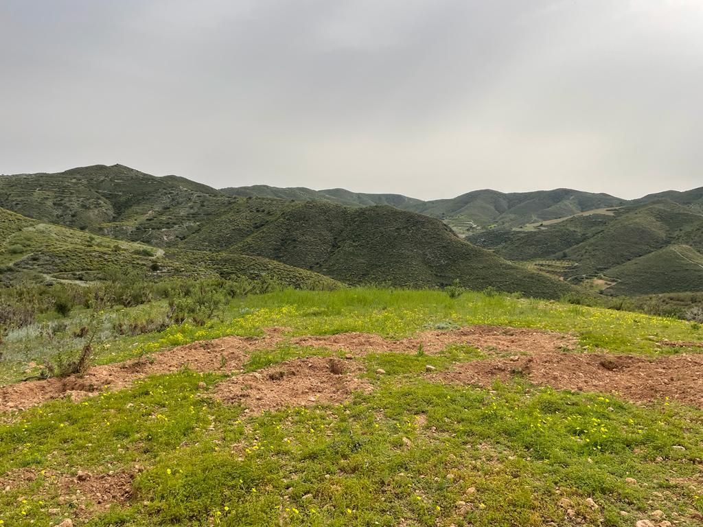 Country house for sale in Cartagena