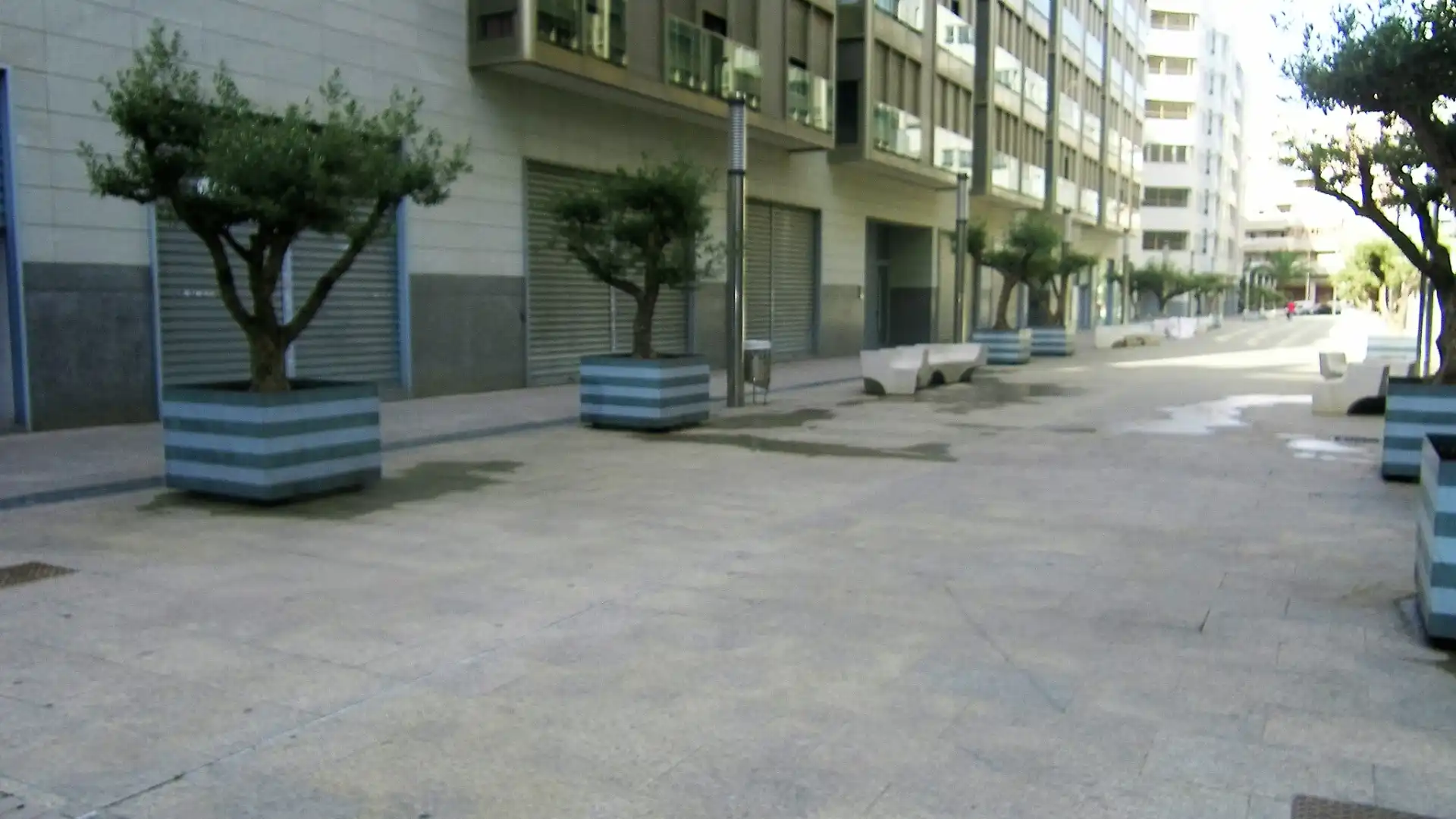Exterior view of Commercial properties for rent in Elche / Elx