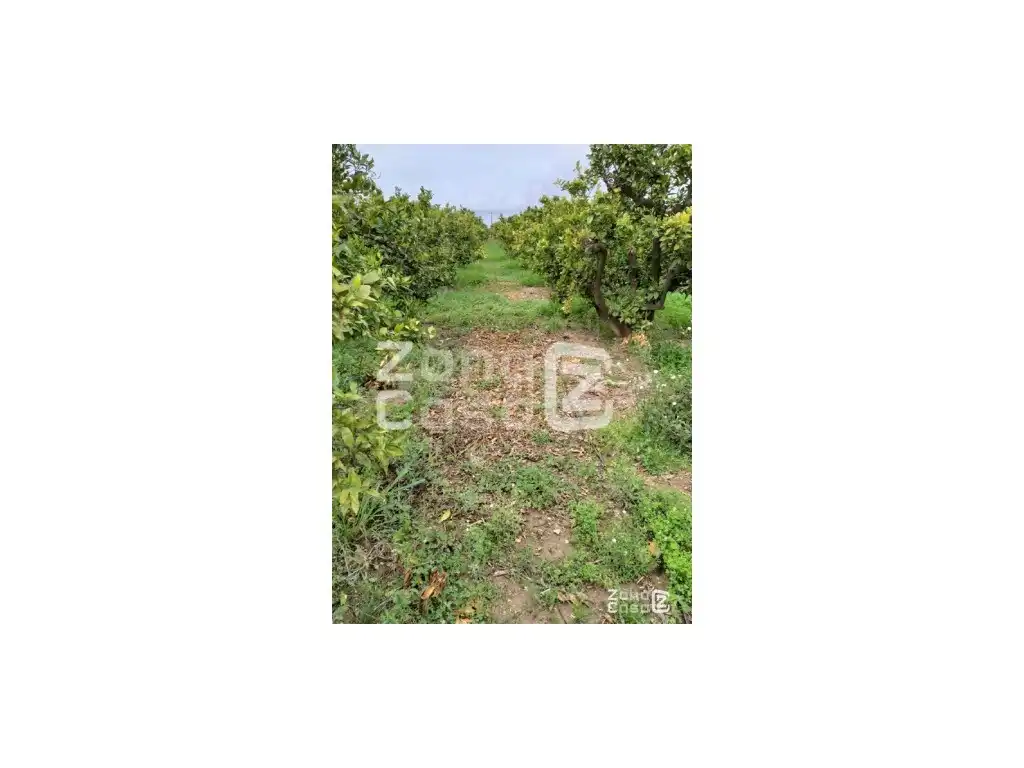 Country house for sale in Algemesí, imagen 3