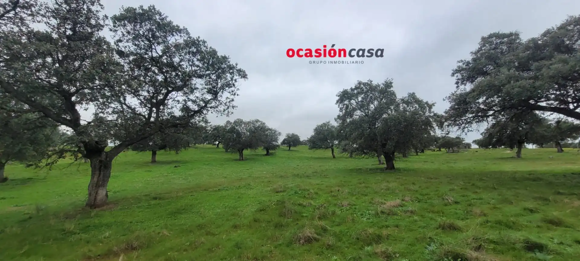 Casa rústica en venta en Pedroche, imagen 2