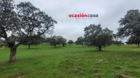 PARCELA RÚSTICA EN PEDROCHE, immagine 2