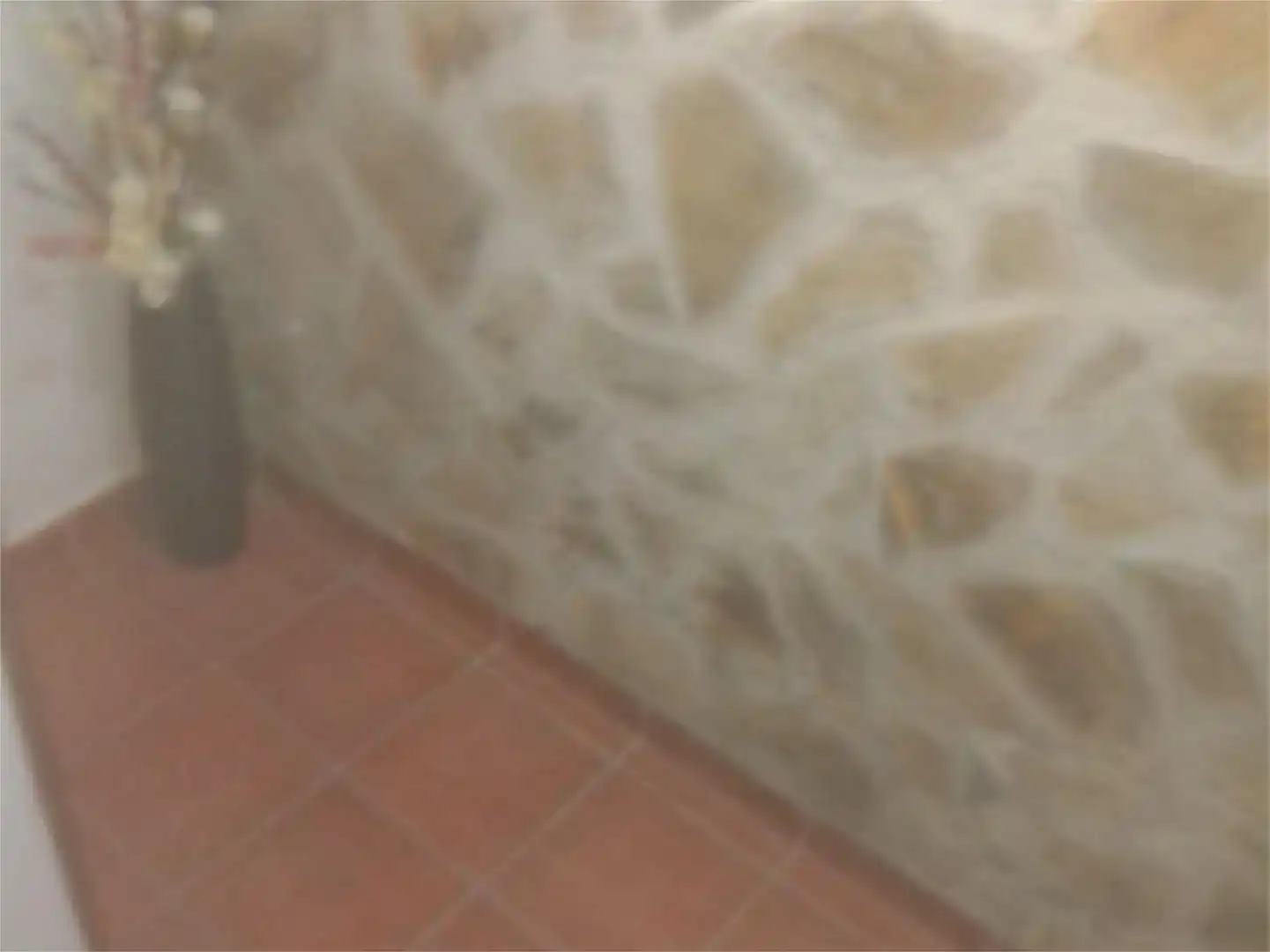 Piso en venta en Briviesca