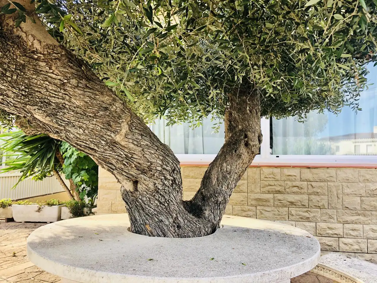 Maison avec terrasse à vendre à Coma-ruga platja, imagen 7