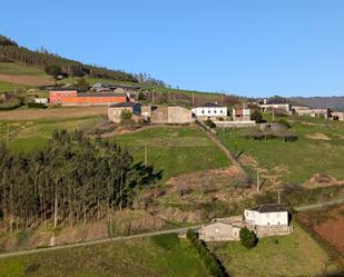 Vista exterior de Casa o xalet en venda en Vegadeo amb Calefacció, Jardí privat i Terrassa