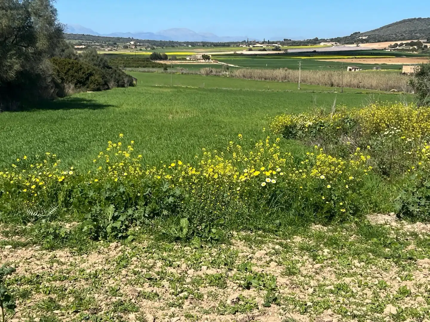 Casa rústica con jardín en venta en Manacor Centre, imagen 9