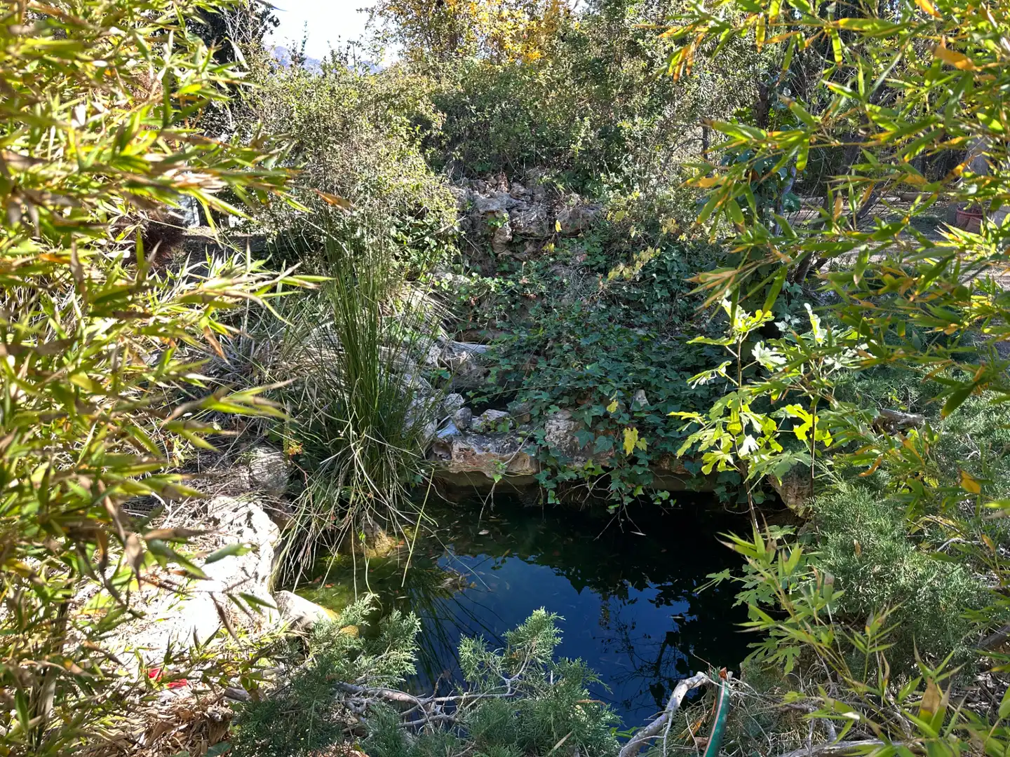 Villa con piscina in vendita a Paraje la Virgen 20, imagen 8