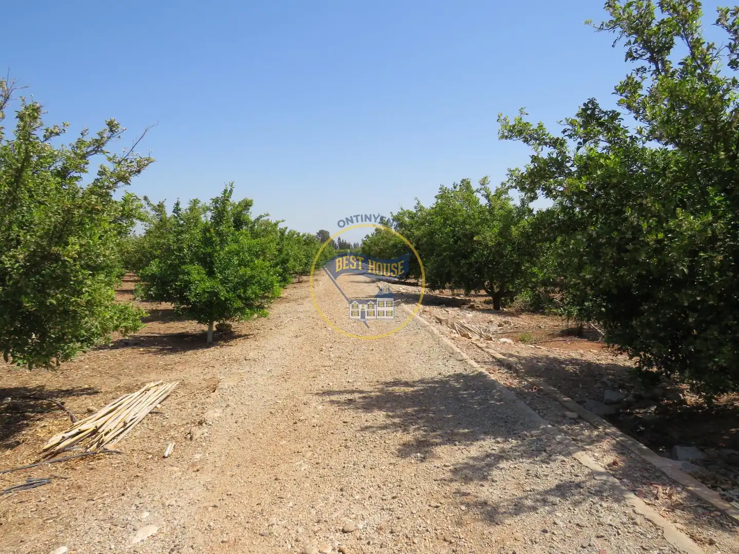 Terreno residencial en venta en Montesa, imagen 5