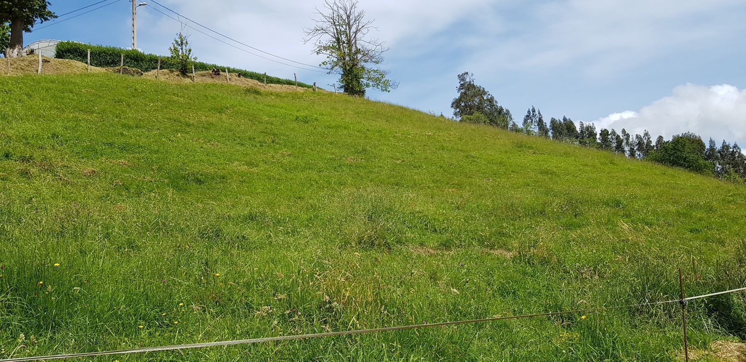 Residential for sale in Cenero