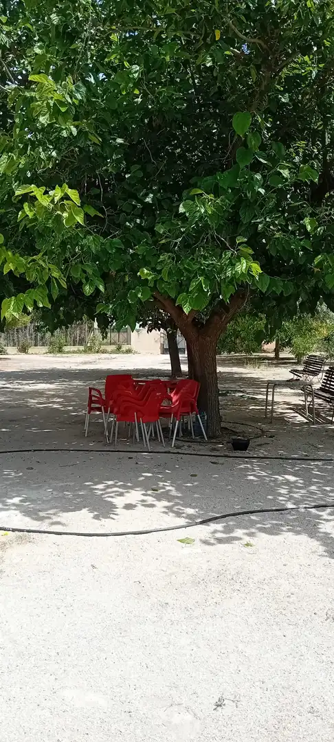 Chalet con piscina en venta en Pedanías - Extrarradio, imagen 27
