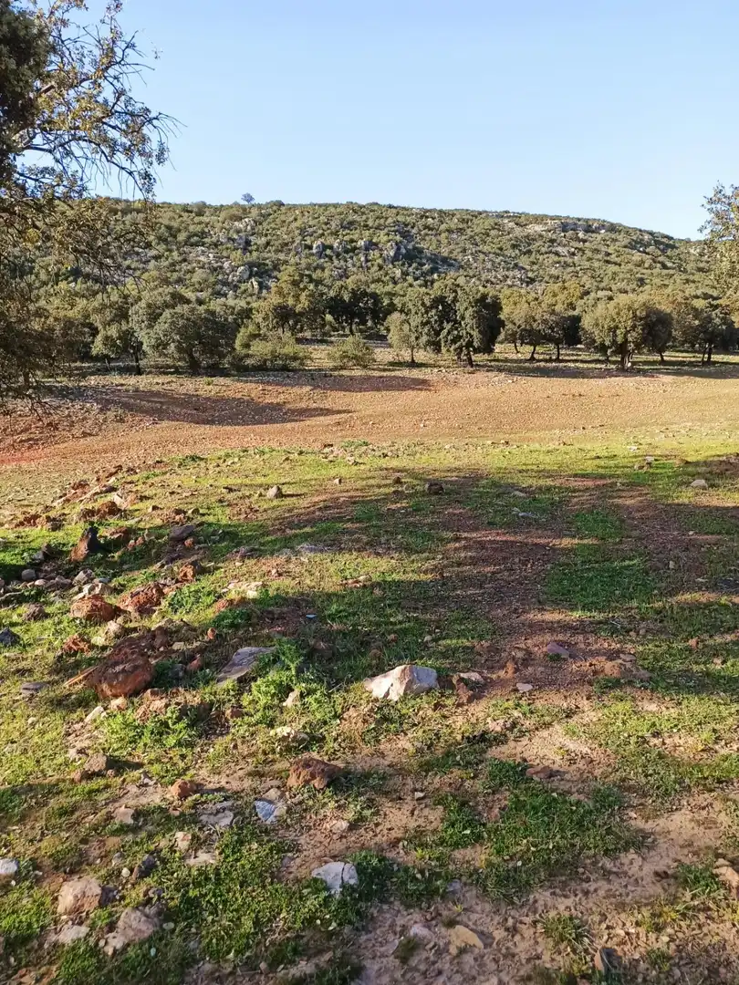 Casa rústica en venda a Almodóvar del Campo, imagen 20