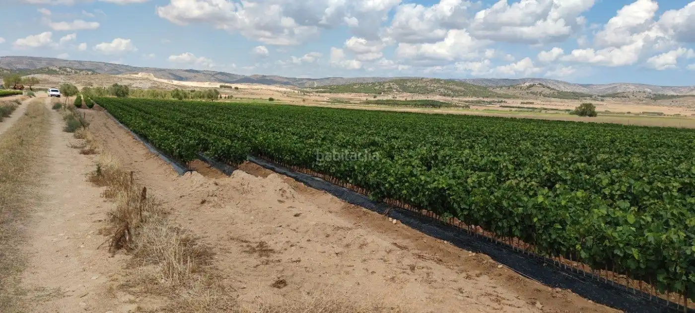 Residential land for sale in Calle Marco 10, imagen 4