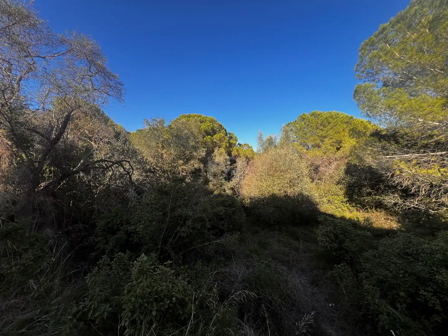 Residencial en venda en Palamós