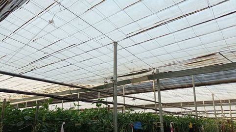 FINCA RUSTICA 18HA, immagine 5