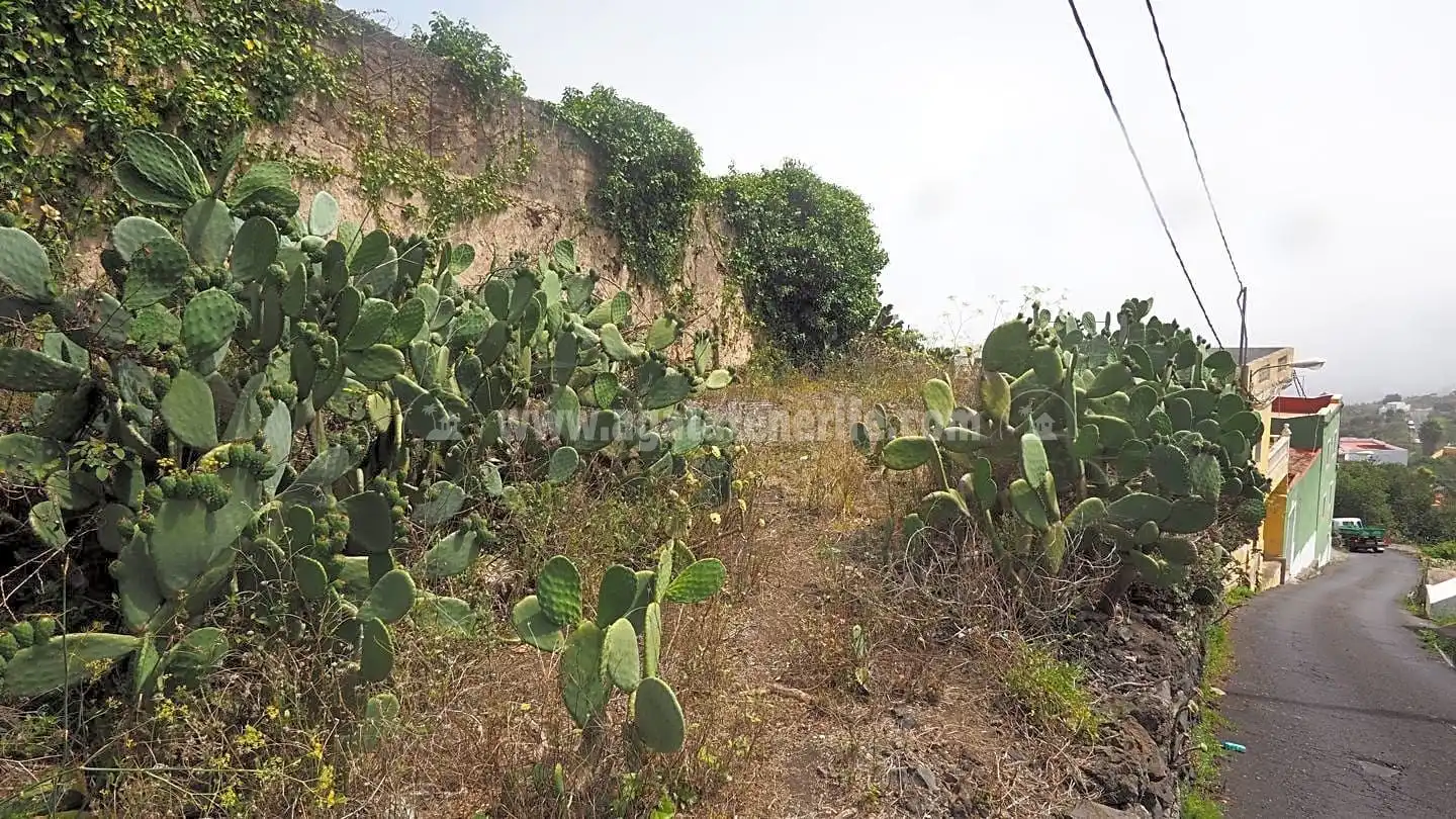 Casa amb jardí en venda a La Vega - El Amparo - Cueva del Viento, imagen 13