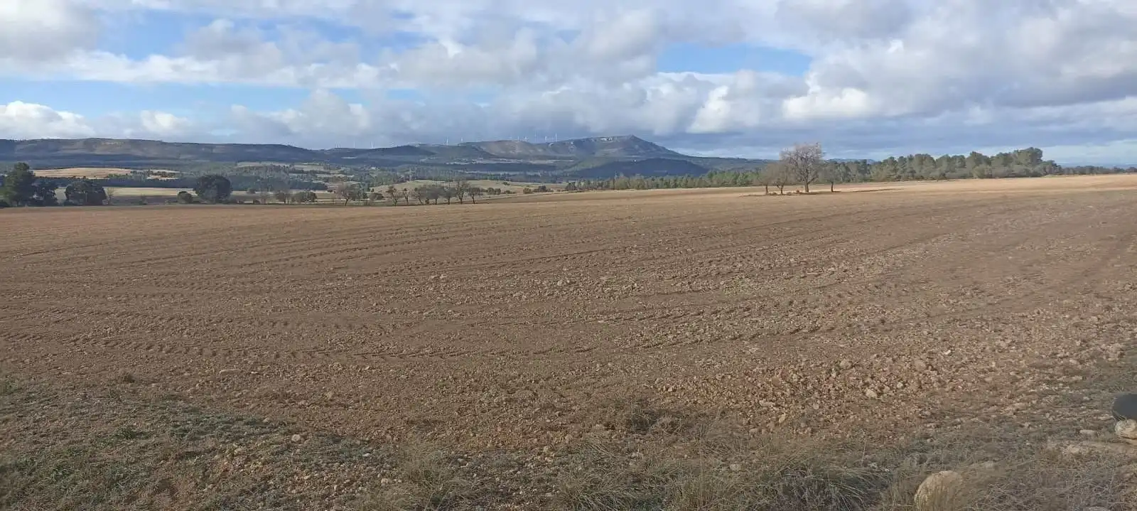 Terreny rústic en venda a Ayora, imagen 3