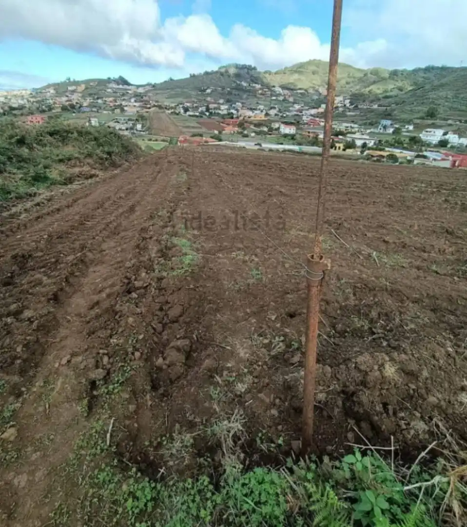 Rural land for sale in Las Mercedes, imagen 4