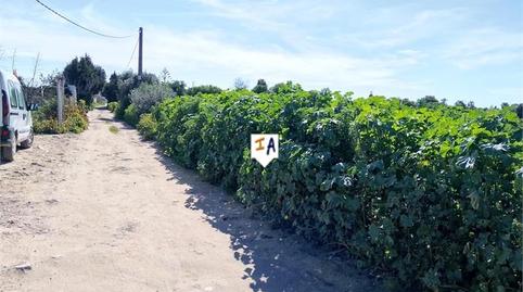 Photo 3 of Residential for sale in El Palmar, Vejer de la Frontera