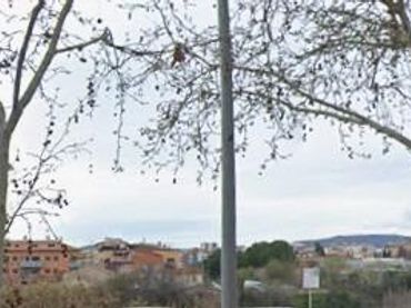 Appartamento con ascensore in vendita a CARDENAL CISNEROS, DEL