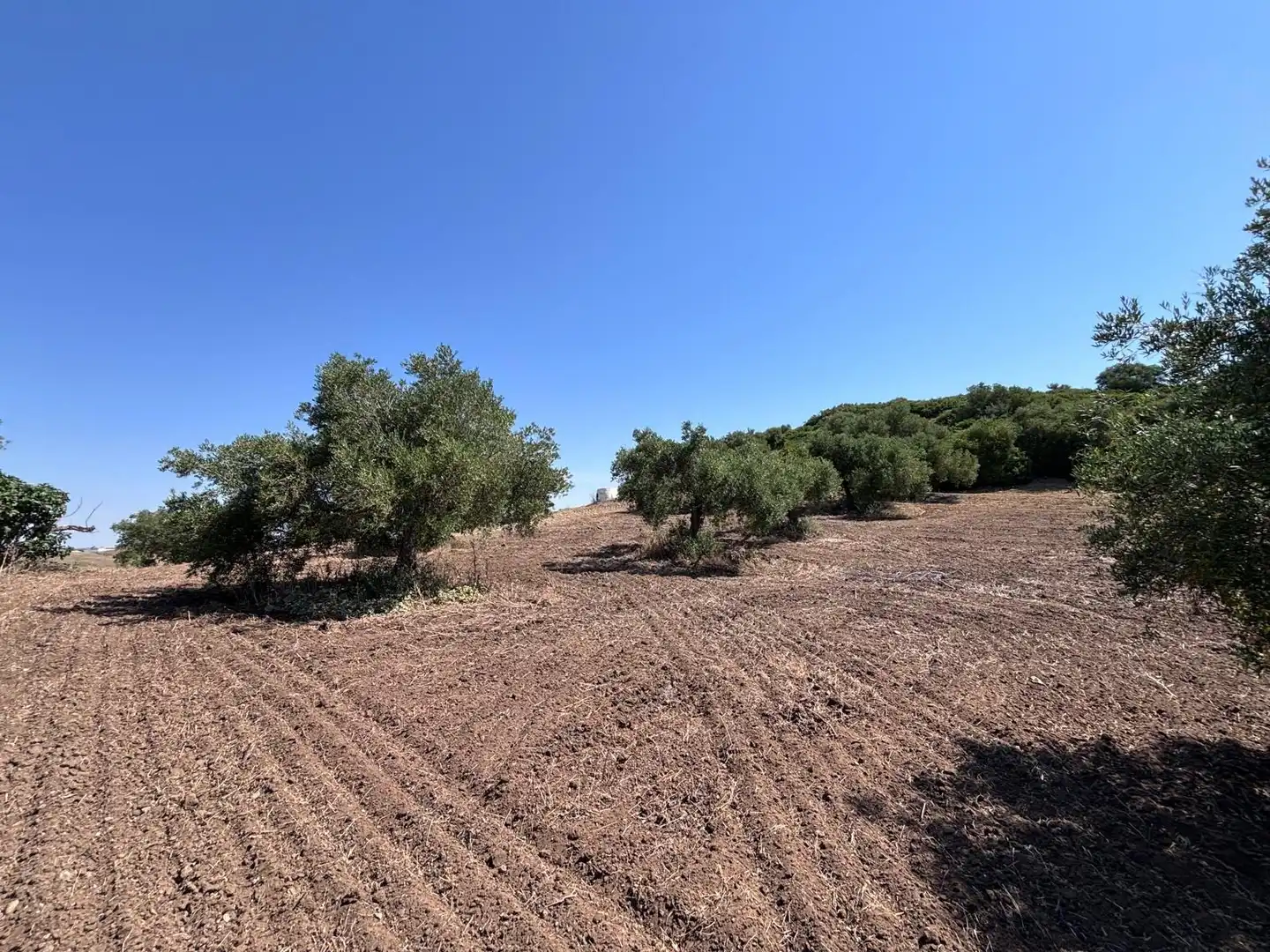 Terreni e lotti in vendita a Arcos de la Frontera, imagen 15
