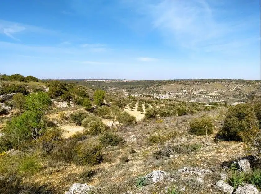 Terreno rustico in vendita a Valdilecha, imagen 6