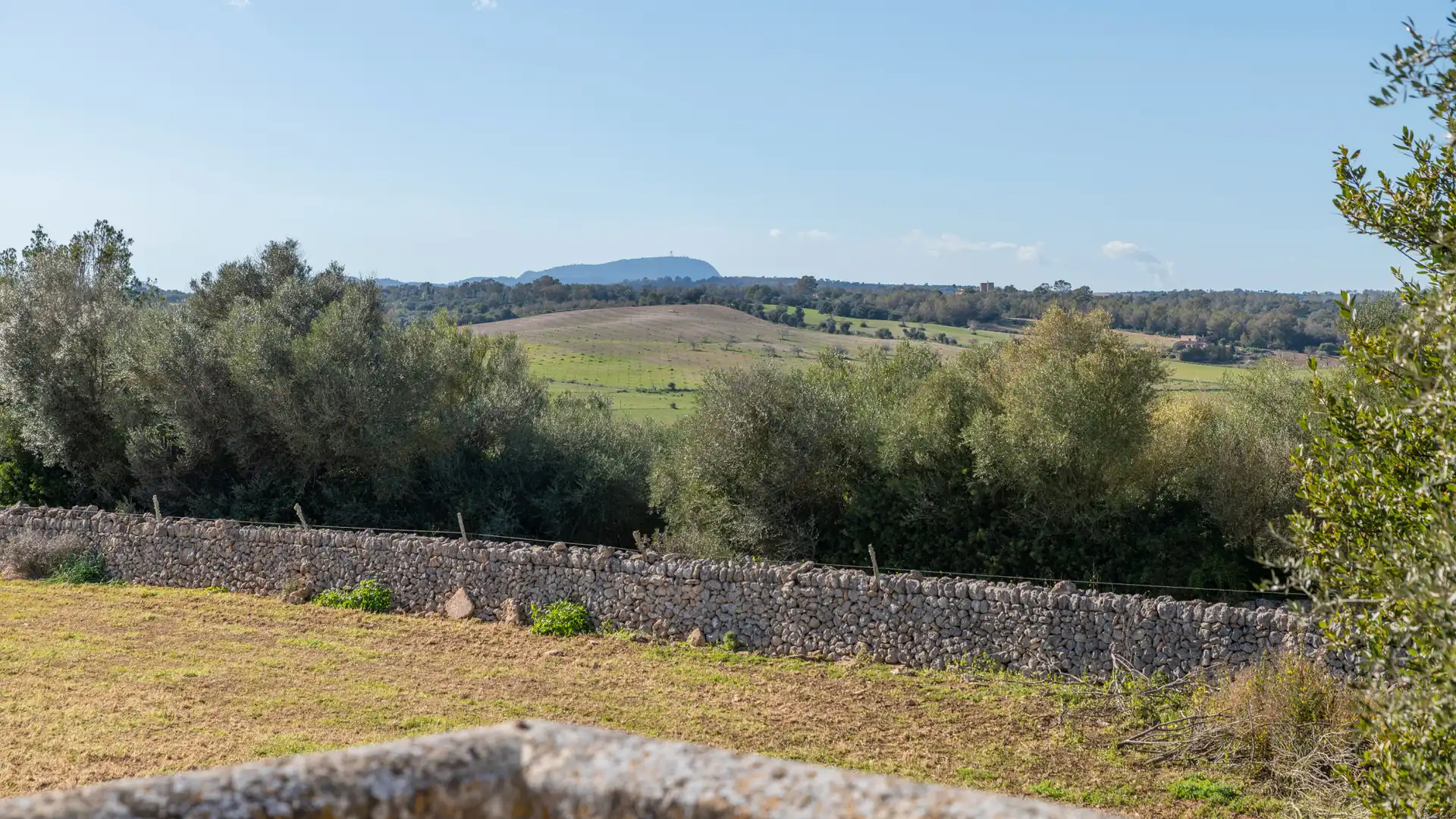 Finca rústica en venta en Vilafranca de Bonany con Terraza, Trastero y Balcón