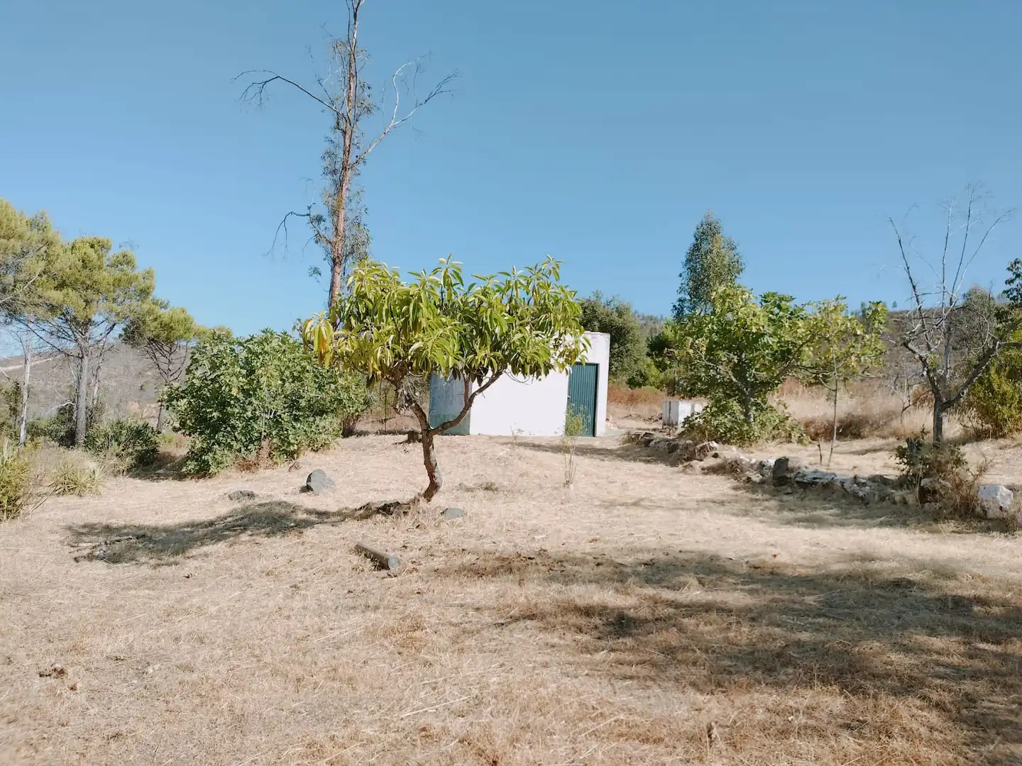 Country homes for sale in El Campillo (Huelva)  with Terrace and Furnished