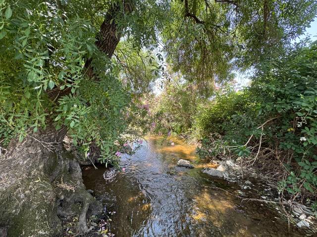 Finca rústica en Venta en Cazalla de la Sierra