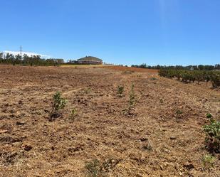 Finca rústica en venda en Almonte