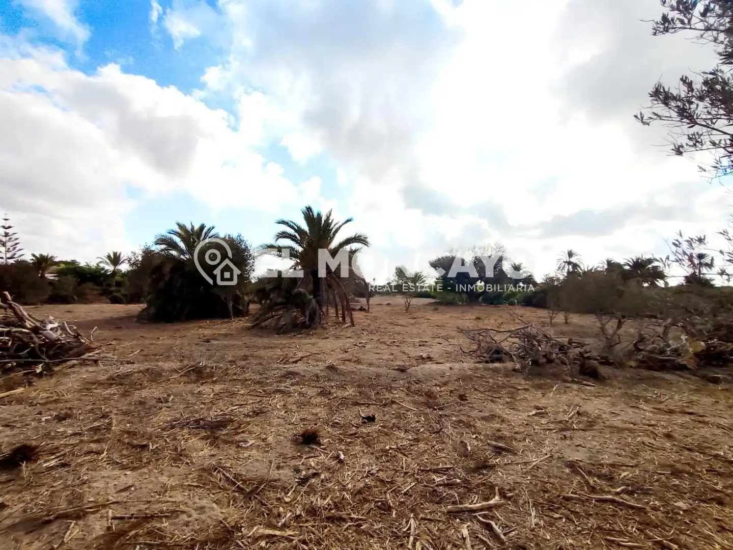 Terreno en venta en Elche / Elx