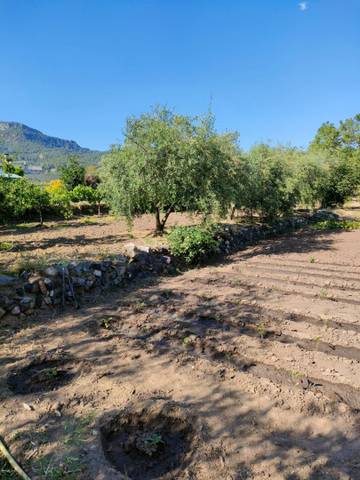 Terreno residencial en Venta en de l'Amor  Urbanització Portugal en Alforja