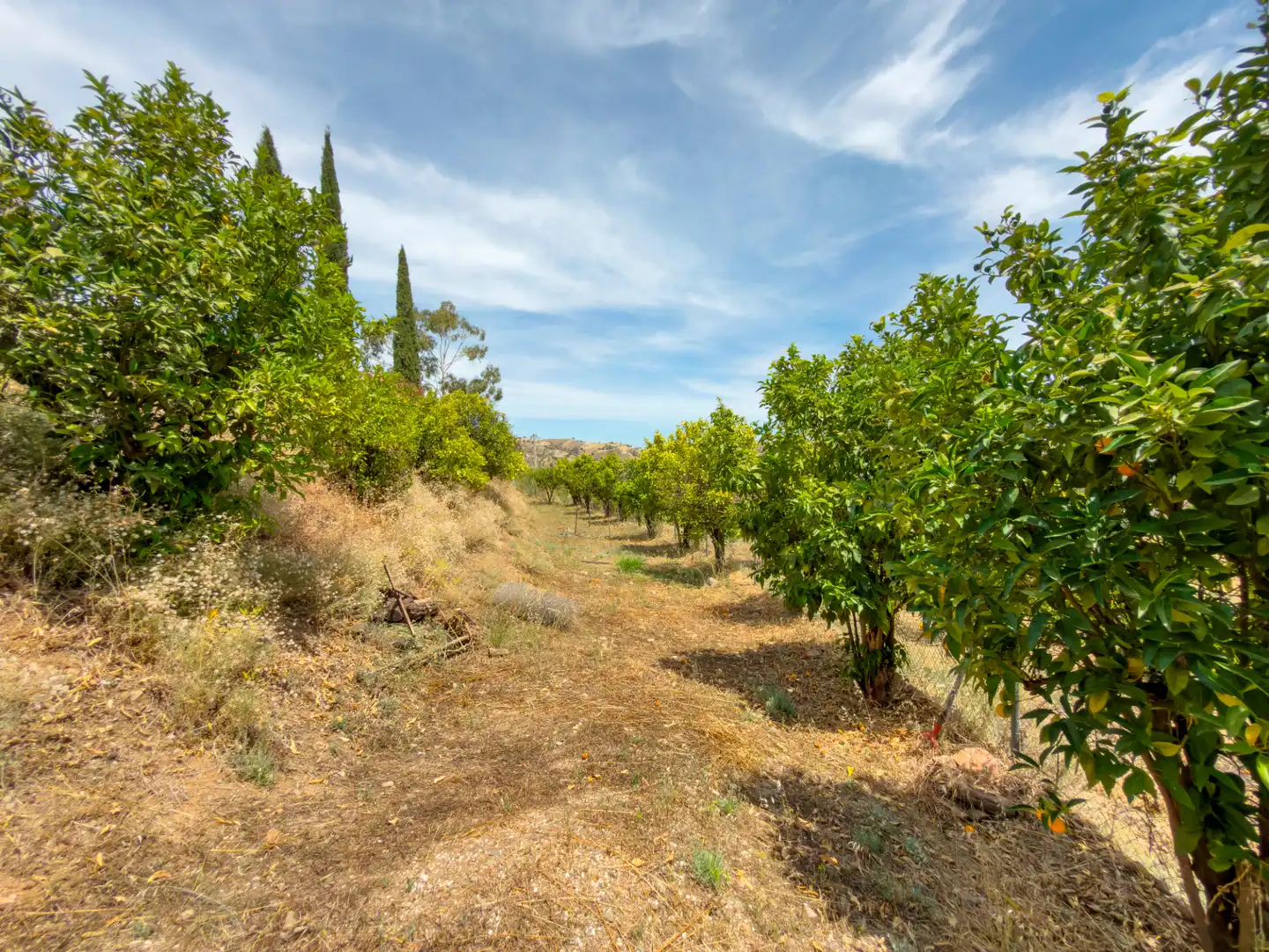 Finca rústica en venta en Coín con Aire acondicionado, Trastero y Piscina