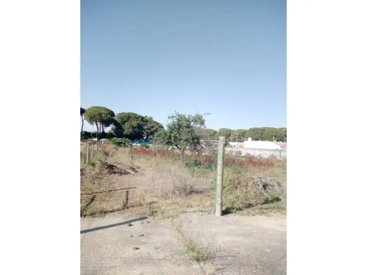 Residencial en venta en Bonares