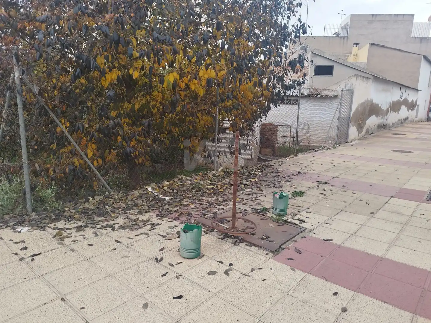 Exterior view of Houses for sale in Murcia