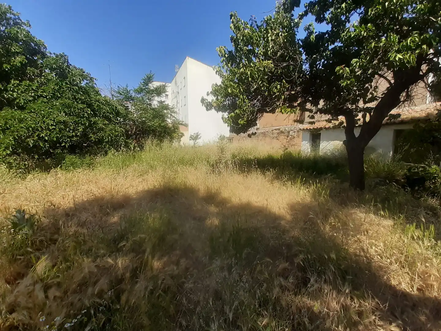 Terreny residencial en venda a Calle Pilatos, imagen 8
